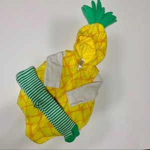 Pineapple Costume - 3-6 month